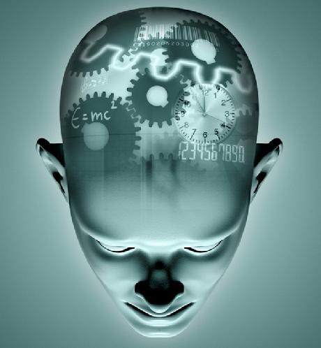 Brain Net Image