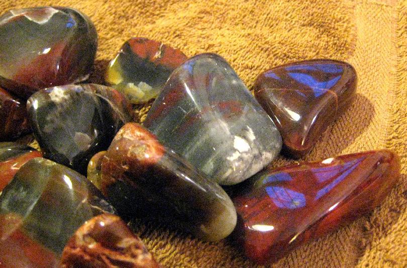 Finished Petrified Wood